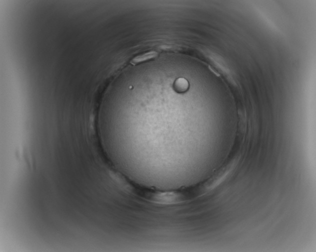 X0000115780269200911201318