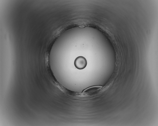 X0000115780288200911201318