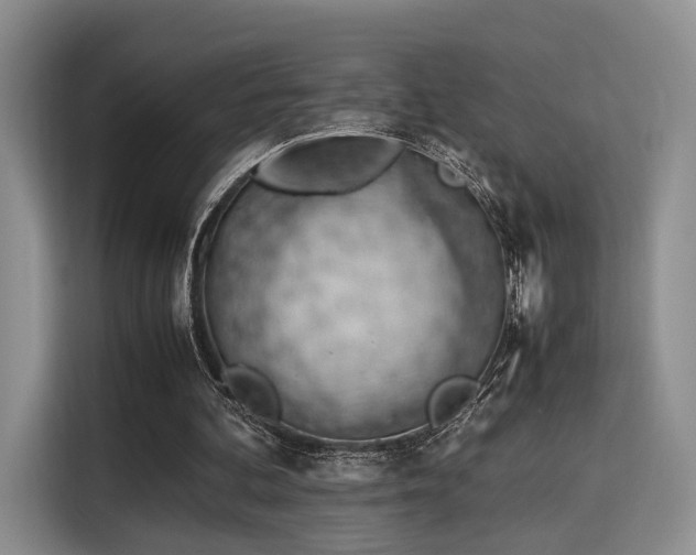 X0000115780292200911201317