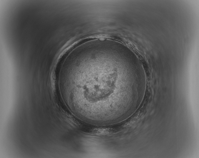 X0000115780295200911201317