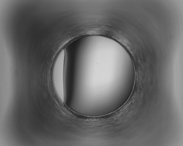 X0000115780297200911201317