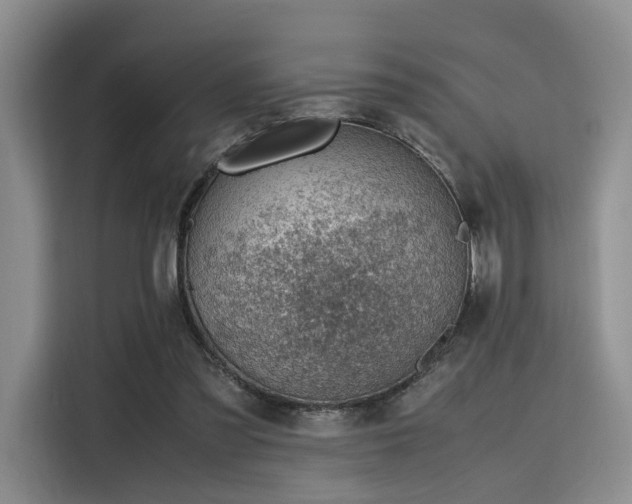 X0000115780301200911201317