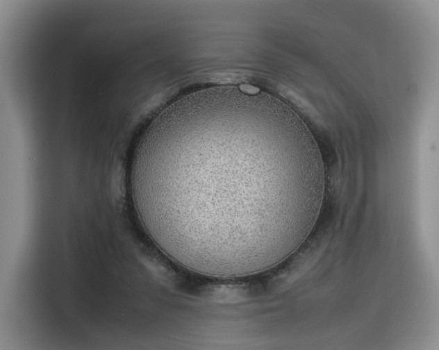 X0000115780303200911201317