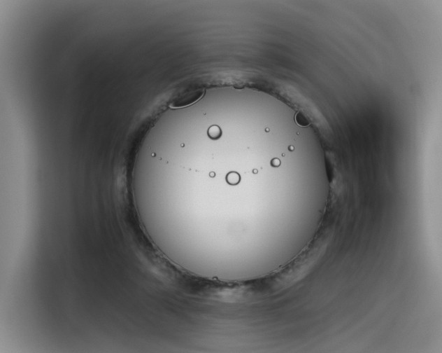 X0000115780306200911201317