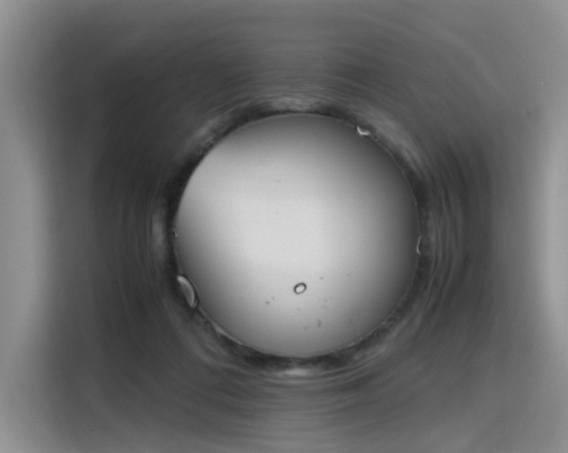 X0000115780312200911201317