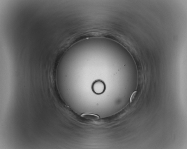 X0000115780317200911201317