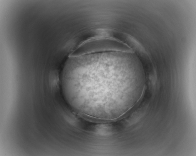 X0000115780320200911201317