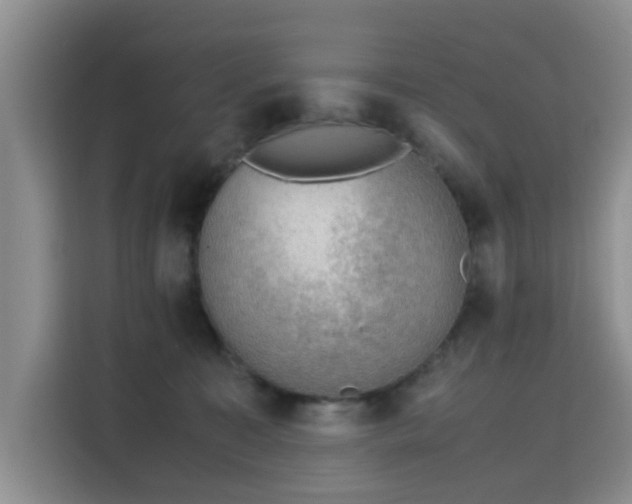 X0000115780323200911201317