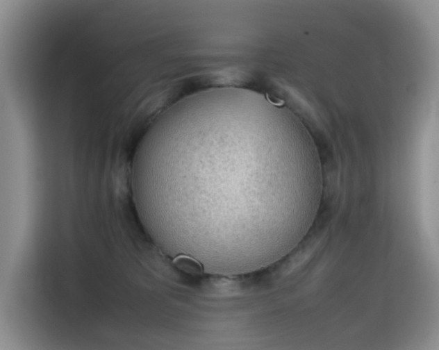 X0000115780325200911201317