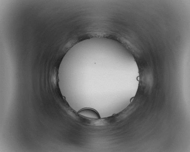 X0000115780334200911201317