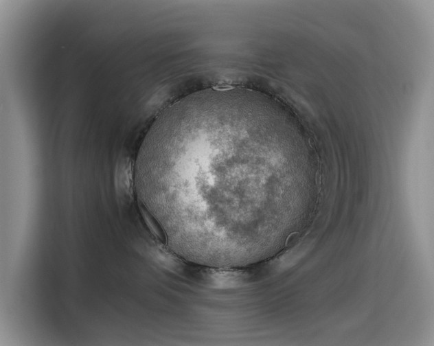 X0000115780336200911201317