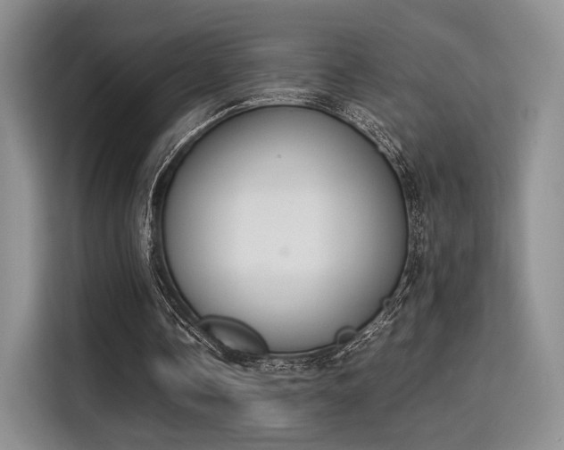 X0000115780338200911201316