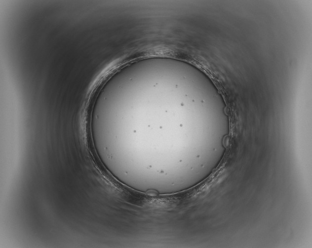 X0000115780341200911201316