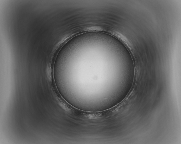X0000115780345200911201316