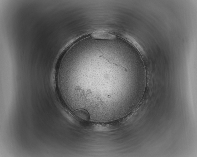 X0000115780346200911201316