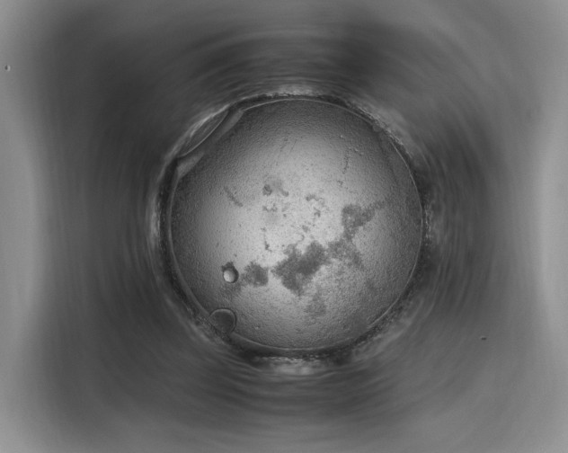 X0000115780347200911201316