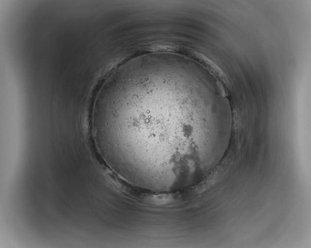 X0000115780353200911201316