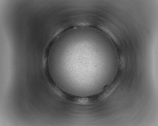 X0000115780355200911201316