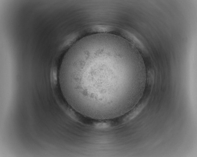 X0000115780358200911201316