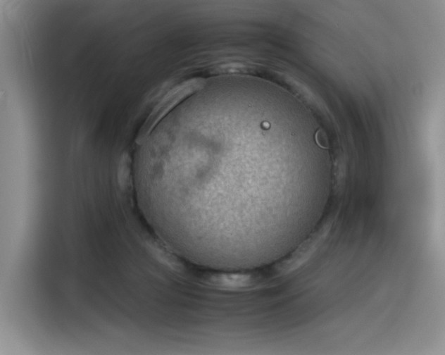 X0000115780361200911201316