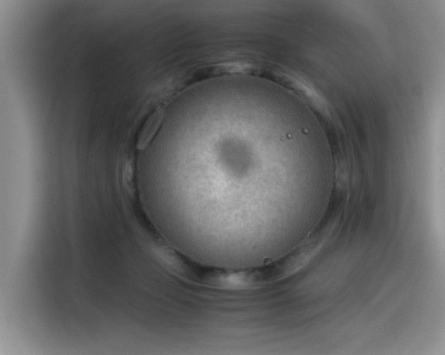 X0000115780365200911201316