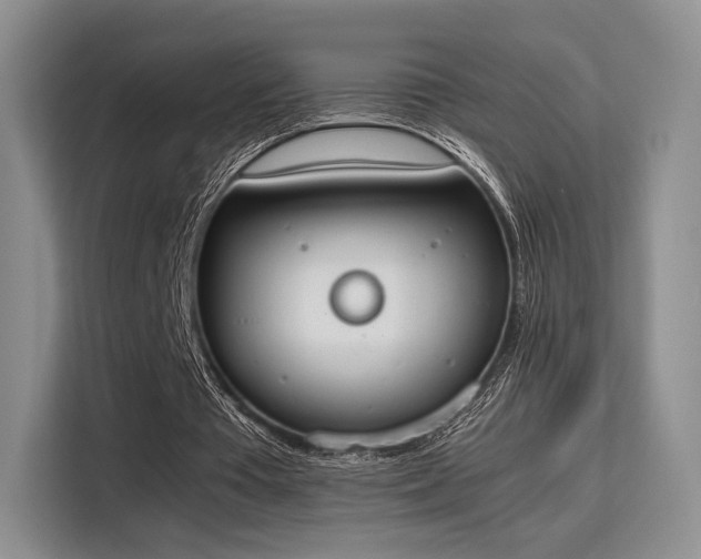 X0000115780385200911201316
