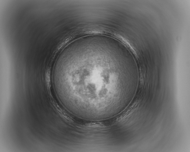 X0000115780386200911201316