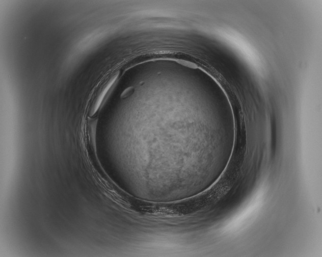 X0000115780387200911201316