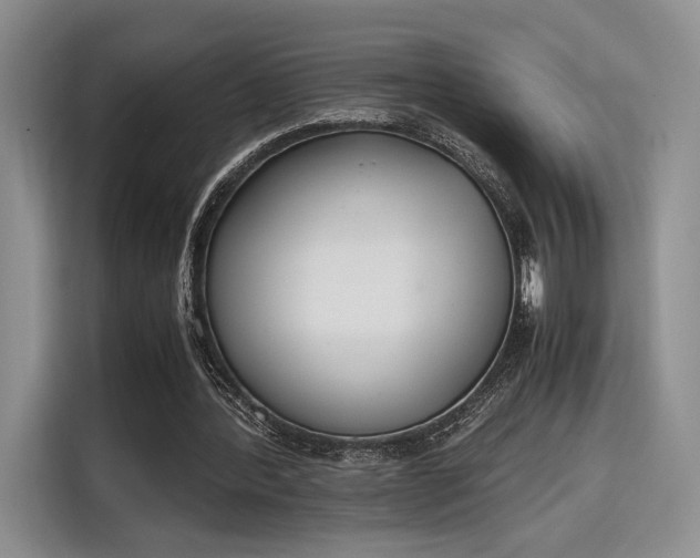 X0000115780388200911201316