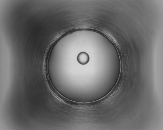 X0000115780389200911201316