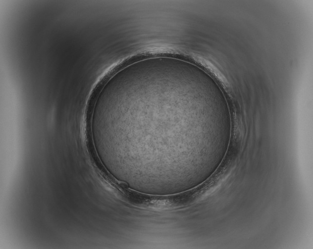 X0000115780391200911201316