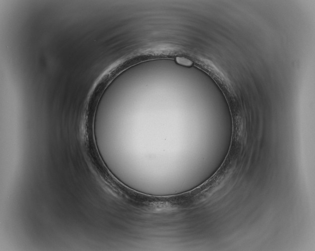 X0000115780392200911201316