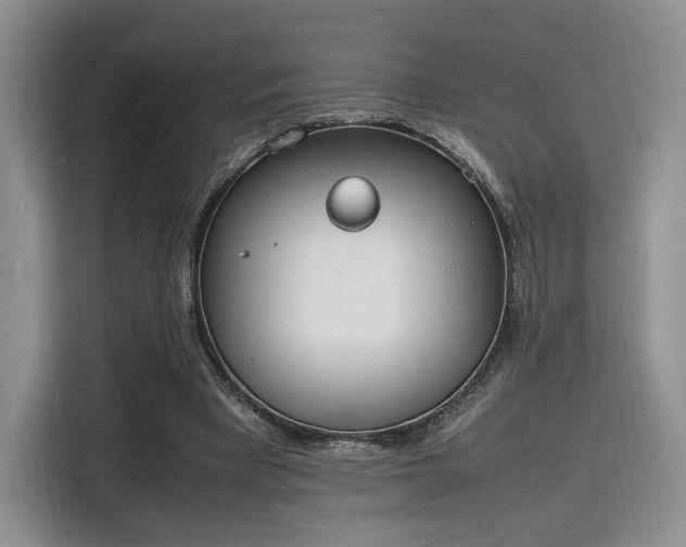 X0000115780393200911201316