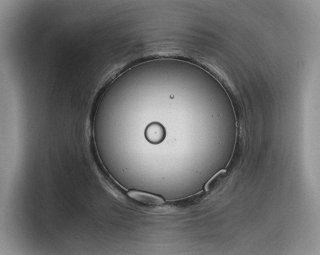 X0000115780397200911201316