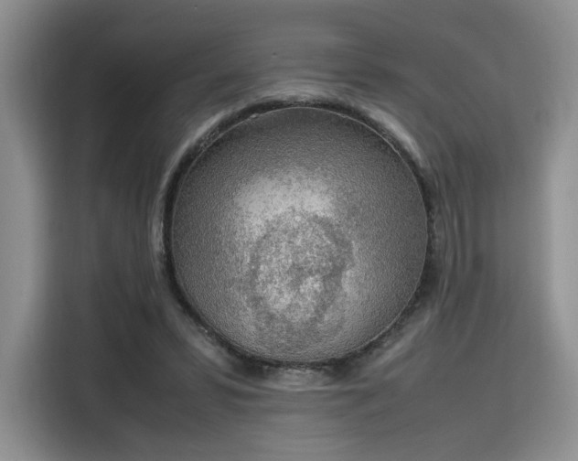 X0000115780399200911201316
