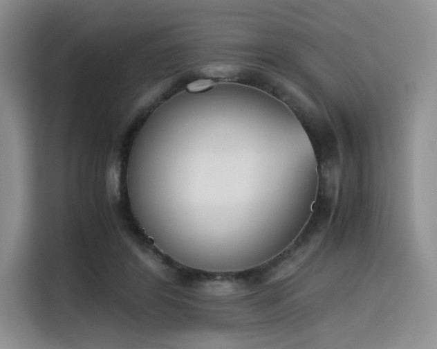 X0000115780404200911201316