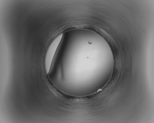 X0000115780405200911201316