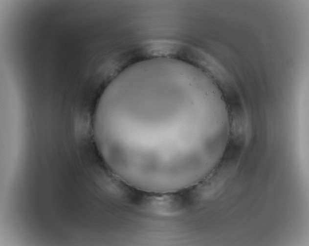 X0000115780411200911201316