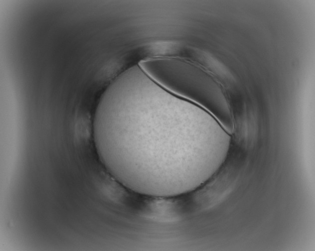 X0000115780413200911201316