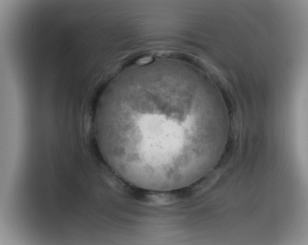 X0000115780417200911201316