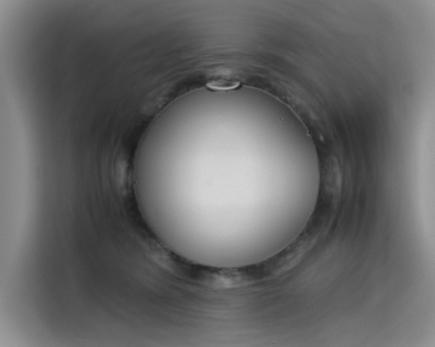 X0000115780420200911201316