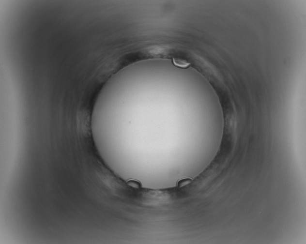 X0000115780421200911201316