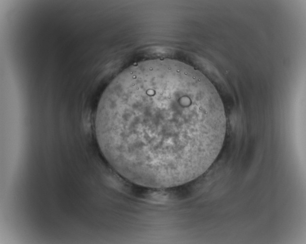 X0000115780423200911201315