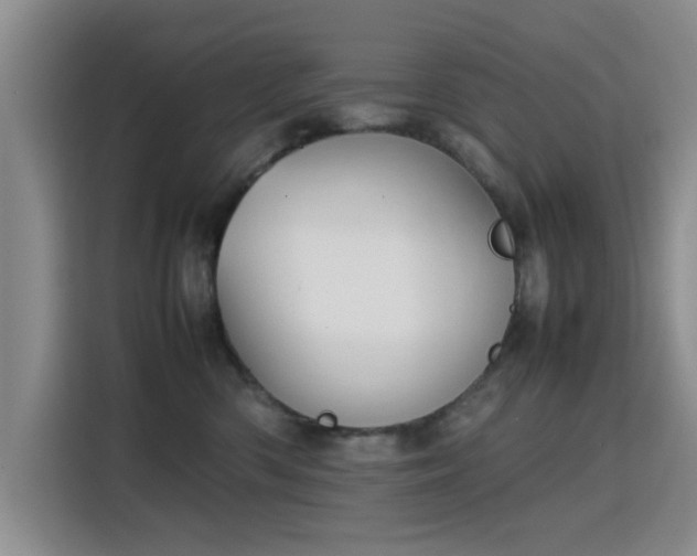 X0000115780426200911201315