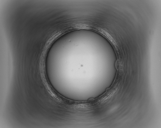 X0000115780433200911201315