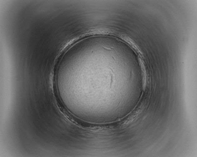 X0000115780434200911201315