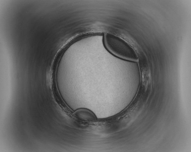 X0000115780436200911201315