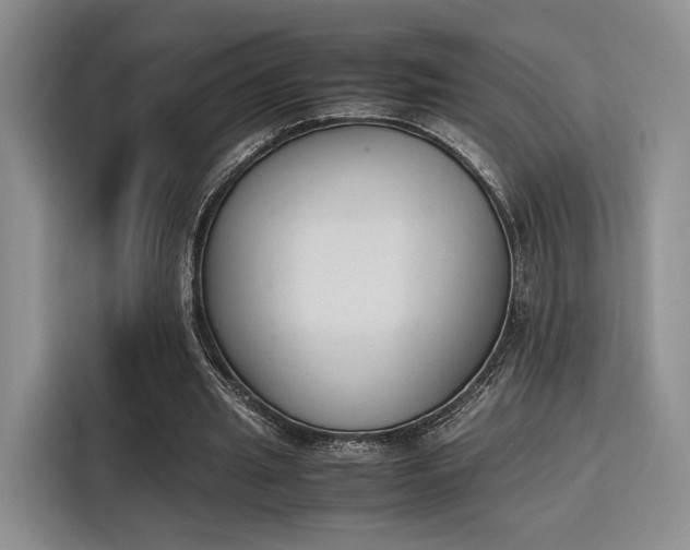 X0000115780437200911201315