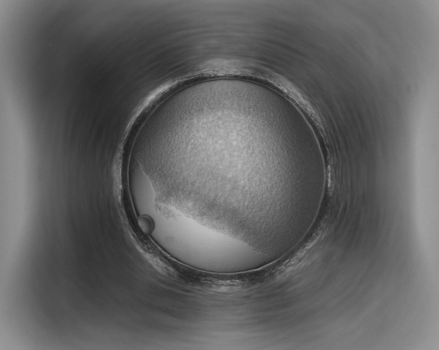 X0000115780438200911201315