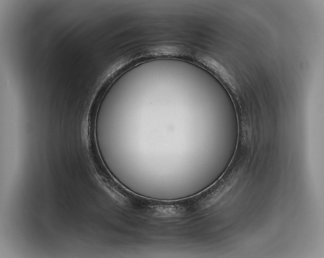 X0000115780439200911201315